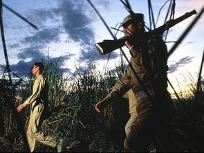 偷猎者,揭秘偷猎者的黑暗世界